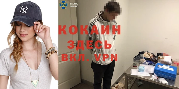 стаф Аркадак
