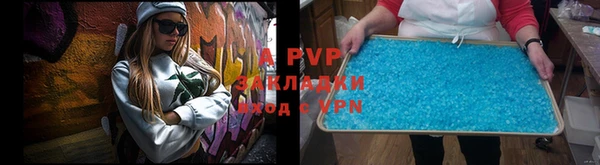 стаф Аркадак