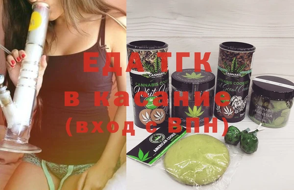 стаф Аркадак