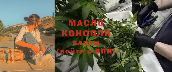 стаф Аркадак