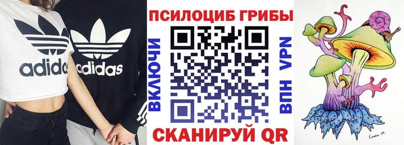 Галлюциногенные грибы мухоморы  купить наркоту  Саранск 